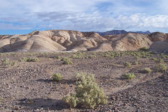 Travel to Death Valley047.jpg